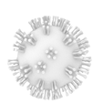 corona 1.PNG CoronaVirus Virus