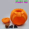 Pumpkin-Container-2.jpg Flex 3D Pumpkin Containers