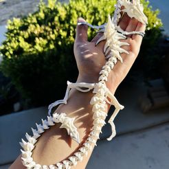 Articulated dragon skeleton
