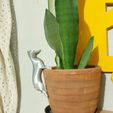 20230826_190523111.jpg DACHSHUND [DACHSHUND] FOR FLOWER POTS