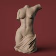 02.jpg Female Torso 3D Model