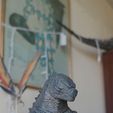 IMG_20231224_162335.jpg Godzilla Neca head