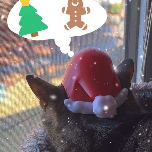 IMG_2301.jpeg Santa Cat Hat 🎅