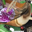 autogland detail.png autogno