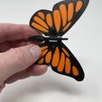 Image02f.jpg Butterfly Automaton