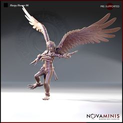 REN-008-Dec23-R38-Harpy-Hunter-06-PAT-SM-STORE.jpg Harpy Hunter 06