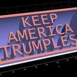Capture1.jpg Keep America Trumpless