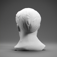0005.png Jules Verne Bust