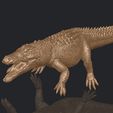 B03.png Alligator 01