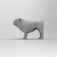 Dog_01.16.jpg Free OBJ file bull dog・3D printer design to download