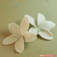 05a.jpg STL file flowers: Plumeria - 3D printable model・3D printing model to download