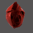 8.png HEART SEGMENTAION WITH CUT SECTIONS