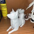 IMG_6540.jpg STL-Datei Perro Shiba Inu・Modell für 3D-Drucker zum Herunterladen