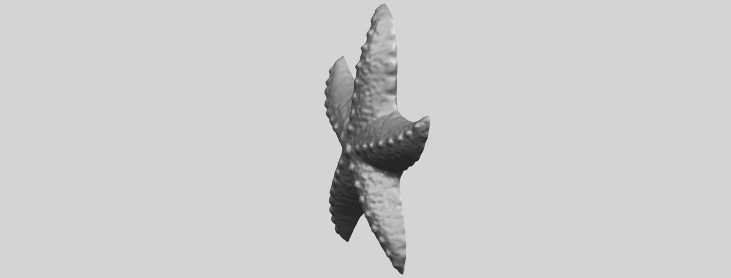 10_TDA0609_Starfish_03A03.png -Datei Starfish 03 kostenlos herunterladen • Objekt zum 3D-Drucken, GeorgesNikkei
