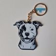 1731328801438.jpg Pitbull keychain