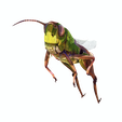 png.png DOWNLOAD Grasshopper 3D MODEL - ANIMATED - INSECT Raptor Linheraptor MICRO BEE FLYING - POKÉMON - DRAGON - Grasshopper - OBJ - FBX - 3D PRINTING - 3D PROJECT - GAME READY-3DSMAX-C4D-MAYA-BLENDER-UNITY-UNREAL - DINOSAUR -