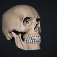 untitled.1093.jpg 人类男性头骨 3D 模型