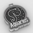 aquarius_2-color.jpg signs of the zodiac - freshie mold - silicone mold box