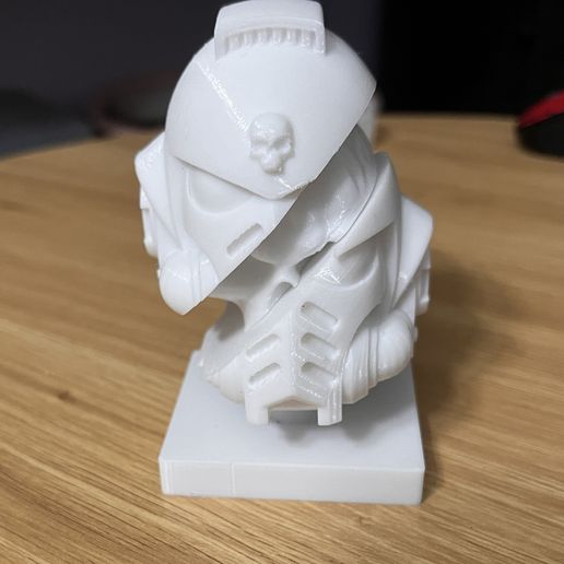 IMG_1913.jpeg Space marine statue