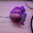 20240212_233413.jpg Rose with LED,s