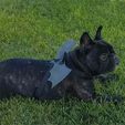 Miniatura_Thingiverse_02.jpg Halloween Puppy Costume