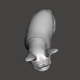 Screenshot-2025-11-11-090135.png French Bulldog
