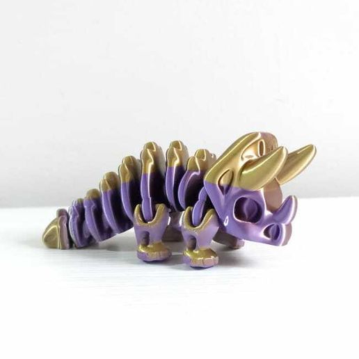 WhatsApp-Image-2023-08-01-at-8.01.19-AM-3.jpeg Nice Triceratops Skeleton