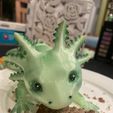 Bezaubernder Axolotl mit Gelenk, bedruckter Körper, einrastbarer Kopf, niedlicher Flexi