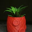 Maceta-Spongebob-2.jpg Archivo STL Spongebob´s House Plant Pot (Easy print no support)・Modelo para descargar e imprimir en 3D