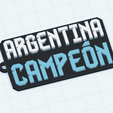 Captura-de-pantalla-2022-12-22-a-la-s-13.25.47.png ARGENTINA CHAMPION