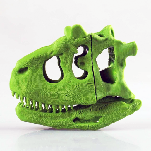Capture d’écran 2017-03-28 à 15.25.30.png Free STL file Dinosaur Skull・Object to download and to 3D print, HarryHistory
