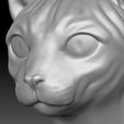 14.jpg Sphynx cat head for 3D printing
