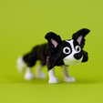 Remb-Studios-Flexi-Border-Collie-Picture-2.png Flexi Border Collie | Print-in-place | No Support