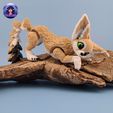 Fennec-Fox-4.jpg Renard fennec