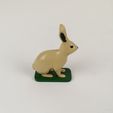 lievre-1.jpg Realistic educational hare