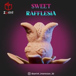 Plantas-carnívoras_sweet-rafflesia.jpg Fichier STL gratuit Plantes carnivores - Rafflesia doux - échelle 32 mm.・Objet pour impression 3D à télécharger