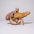 Imagem-do-WhatsApp-de-2025-08-21-a-s-10.36.42_e41d2726.jpg pancreas human anatomy organ