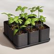 04.jpg Fichier STL Système de plantation de petites herbes・Modèle pour imprimante 3D à télécharger