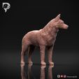 Australian-Cattle-Dog-Pose-02-Dog-3D-Print-1s.jpeg Australian Cattle Dog 3D Print Model Pose 02