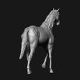 12.jpg Thoroughbred Horse model 3D print model