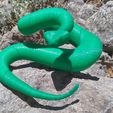 Cascabel-5.jpg Rattlesnake