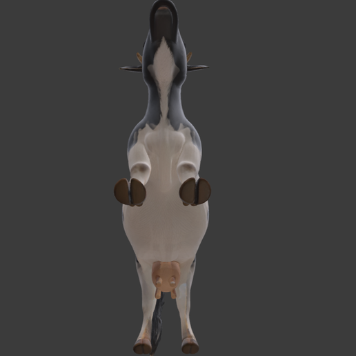 Screenshot-2025-11-11-alle-22.49.07.png Vaca