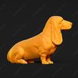 1118-Basset_Hound_Pose_05.jpg Basset Hound Dog 3D Print Model Pose 05
