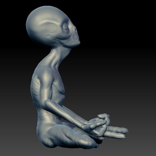 👽 Alien-Grey-01・ STL File for ・Cults