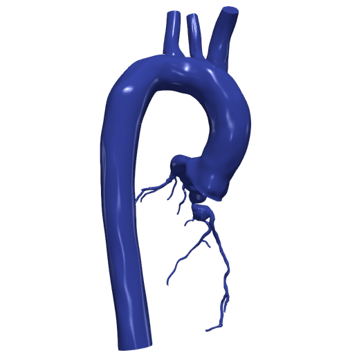 2.png 主动脉和冠状动脉 3D 模型 - 6 件装