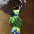 IMG_20230529_160401621_HDR.jpg Amazon Parrot Keychain