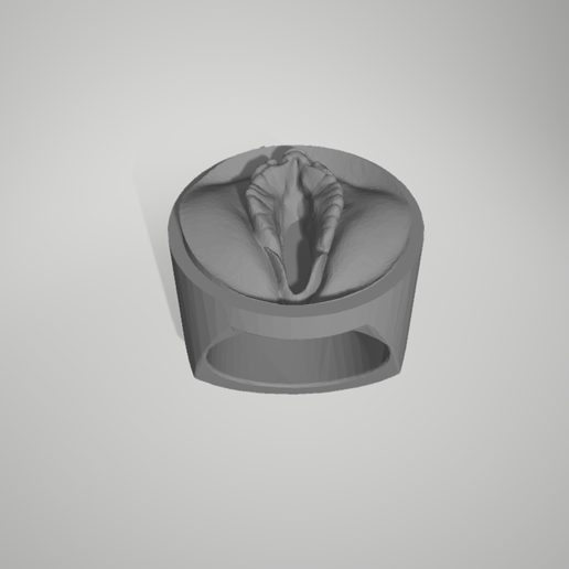 Pussy Ring - 3D model önizlemesi