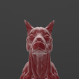Completo2.png Scan - dog's muscular system - head
