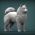 Samoyed-dog2.jpg 3D-Datei Samojeden Hund 3D-Druck Modell・3D-Druckvorlage zum Herunterladen
