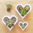 2.JPG Geometric Heart Pot cactus and succulents